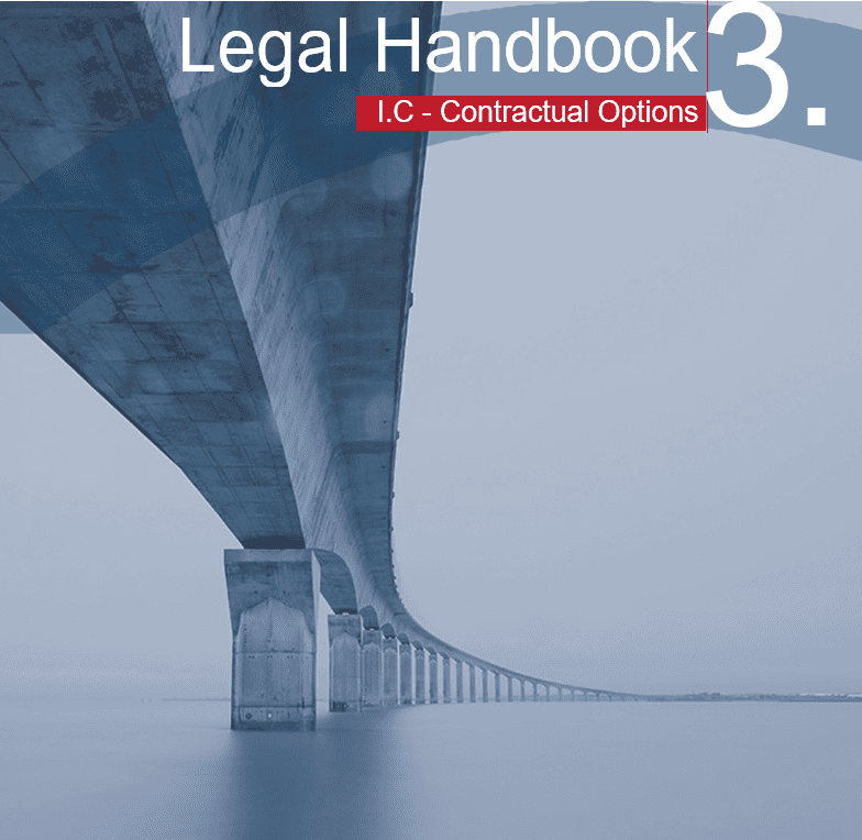 HANDBOOK Cover 3 - Contractual options in China